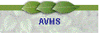AVMS